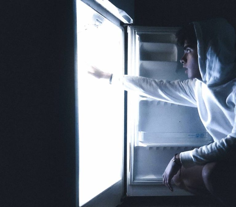 Frigidaire Gallery Refrigerator Display Common Problems The Kitchen