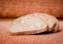 White Mold on Bread: How to Distinguish Them from flour spots