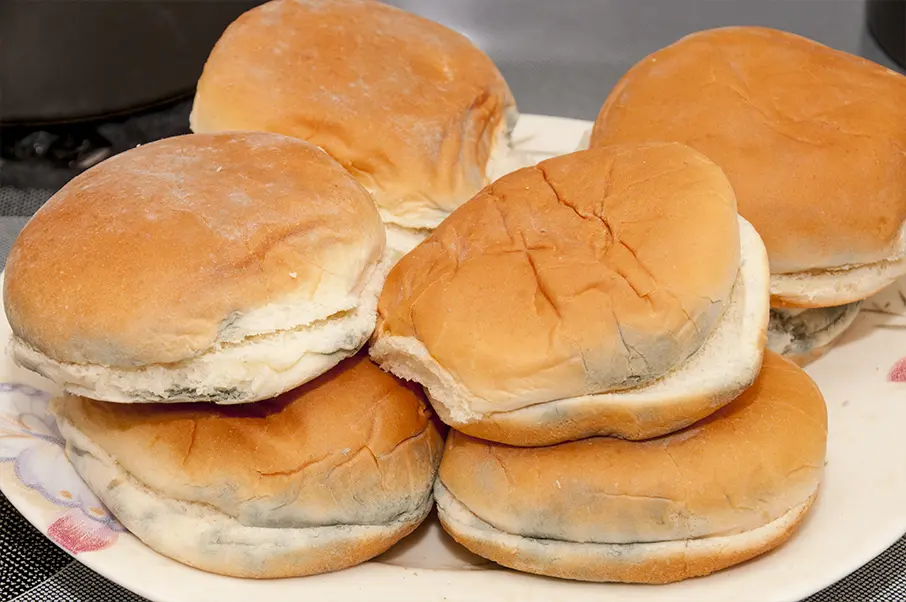 White Mold on Bread Buns